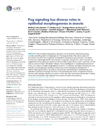 Fog Signaling Has Diverse Roles in Epithelial Morphogenesis in Insects