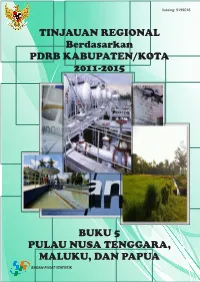 Regional Overview Based on 2011-2015 GDRP, Book 5 Nusa