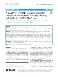 A DAAM1 3′-UTR SNP Mutation Regulates Breast Cancer Metastasis