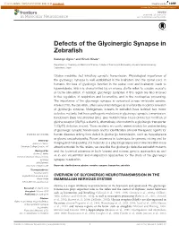 Defects of the Glycinergic Synapse in Zebrafish