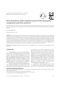 Determination of the Mating System of Tucumã Palm Using Microsatellite