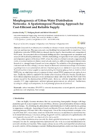 Morphogenesis of Urban Water Distribution Networks: a Spatiotemporal Planning Approach for Cost-Efﬁcient and Reliable Supply