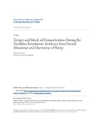 Tempo and Mode of Domestication During The