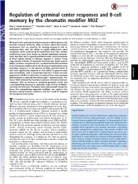 Regulation of Germinal Center Responses and B-Cell Memory by the Chromatin Modifier MOZ