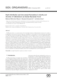 Depth Distribution and Inter-Annual Fluctuations in Density and Diversity