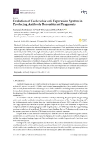 Evolution of Escherichia Coli Expression System in Producing Antibody Recombinant Fragments
