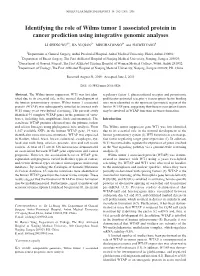 Identifying the Role of Wilms Tumor 1 Associated Protein in Cancer Prediction Using Integrative Genomic Analyses