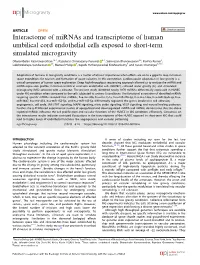 Interactome of Mirnas and Transcriptome of Human Umbilical Cord Endothelial Cells Exposed to Short-Term Simulated Microgravity