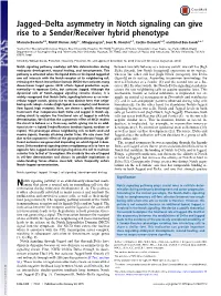 Jagged–Delta Asymmetry in Notch Signaling Can Give Rise to a Sender/Receiver Hybrid Phenotype