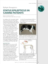 STATUS EPILEPTICUS in CANINE PATIENTS Oriana D