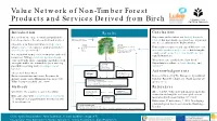 Value Network of Non-Timber Forest Products and Services Derived from Birch