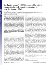 Checkpoint Kinase 1 (Chk1) Is Required for Mitotic Progression Through Negative Regulation of Polo-Like Kinase 1 (Plk1)