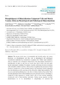 Phospholipases of Mineralization Competent Cells and Matrix Vesicles: Roles in Physiological and Pathological Mineralizations