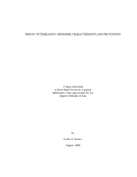 Prison Victimization: High-Risk Characteristics and Prevention