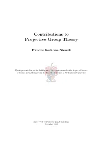 Contributions to Projective Group Theory