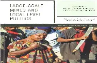 LARGE-SCALE MINES and LOCAL-LEVEL POLITICS Between New Caledonia and Papua New Guinea