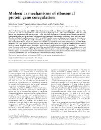 Molecular Mechanisms of Ribosomal Protein Gene Coregulation