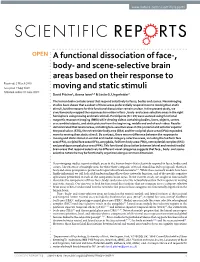 And Scene-Selective Brain Areas Based on Their