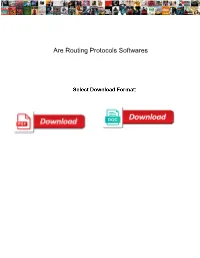 Are Routing Protocols Softwares