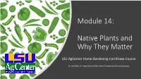Native Plants and Why It Matters
