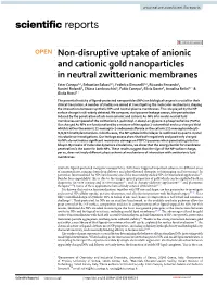 Non-Disruptive Uptake of Anionic and Cationic Gold Nanoparticles