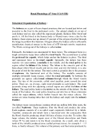 Renal Physiology (4Th Sem CC4-9-TH)
