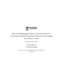 Role of Voltage-Gated Sodium Channel Isoforms in Electrophysiological Properties of Neurons Innervating the Viscera in Mice