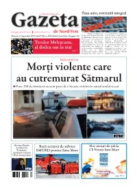 Teodor Meleşcanu, Al Doilea Om În Stat