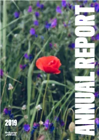2019 Annual Report Summarises the Operations, Activities and Financial Position of the Marlborough Lines Group for the Year Ended 30 June 2019