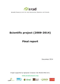 Final Report