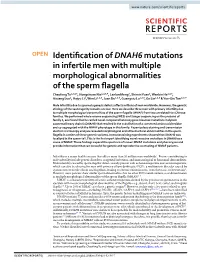 Identification of DNAH6 Mutations in Infertile Men with Multiple