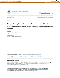 The Postlarval Phase of Bivalve Mollusks: a Review of Functional Ecology and New Records of Postlarval Drifting of Chesapeake Bay Bivalves