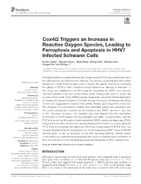 Cox4i2 Triggers an Increase in Reactive Oxygen Species, Leading to Ferroptosis and Apoptosis in HHV7 Infected Schwann Cells