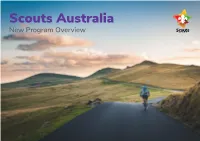 Create the Path Cub Scouts in the New Program