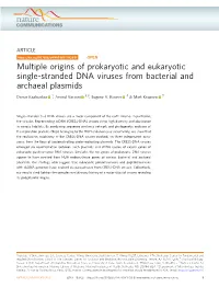 Multiple Origins of Prokaryotic and Eukaryotic Single-Stranded DNA Viruses from Bacterial and Archaeal Plasmids