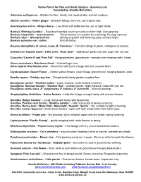 Native Plants for Pots and Small Gardens - Summary List Compiled by Annette Mcfarlane