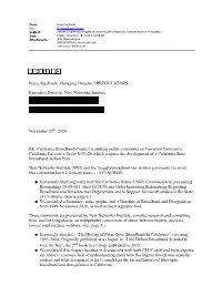 New Networks Institute and the Irregulars