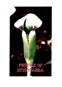 12 Chapter 4.Pdf