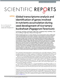 Global Transcriptome Analysis and Identification of Genes Involved In
