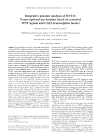 Integrative Genomic Analyses of WNT11: Transcriptional Mechanisms Based on Canonical WNT Signals and GATA Transcription Factors