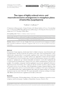 And Macrochromosome Arrangement in Metaphase Plates of Butterflies (Lepidoptera)