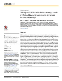 Intraspecific Colour Variation Among Lizards in Distinct Island Environments Enhances Local Camouflage
