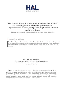 Ovariole Structure and Oogenesis in Queens And