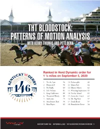 Patterns of Motion Analysis with Kerry Thomas and Pete Denk