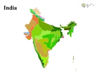 R Graphics Output