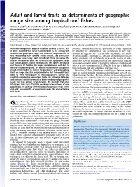 Adult and Larval Traits As Determinants of Geographic Range Size Among Tropical Reef ﬁshes