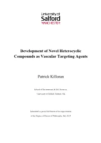 Development of Novel Heterocyclic Compounds As Vascular Targeting Agents