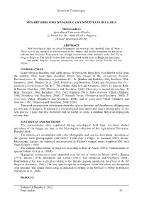 New Data for Hypogeus Fungi in Bulgaria