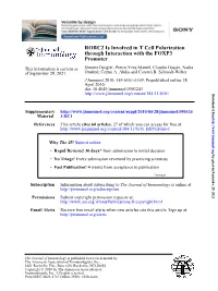 Promoter Through Interaction with the FOXP3 RORC2 Is Involved in T Cell Polarization