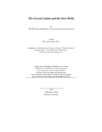The Second Adam and the New Birth;